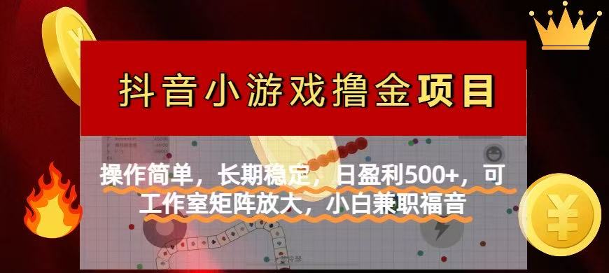 （14290期）【抖音小游戏发行人计划项目】操作简单，长期稳定，日盈利500+，可工作…-轻创终点站
